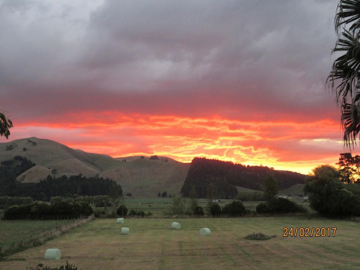 Paeroa Pukeko Lodge ภายนอก รูปภาพ