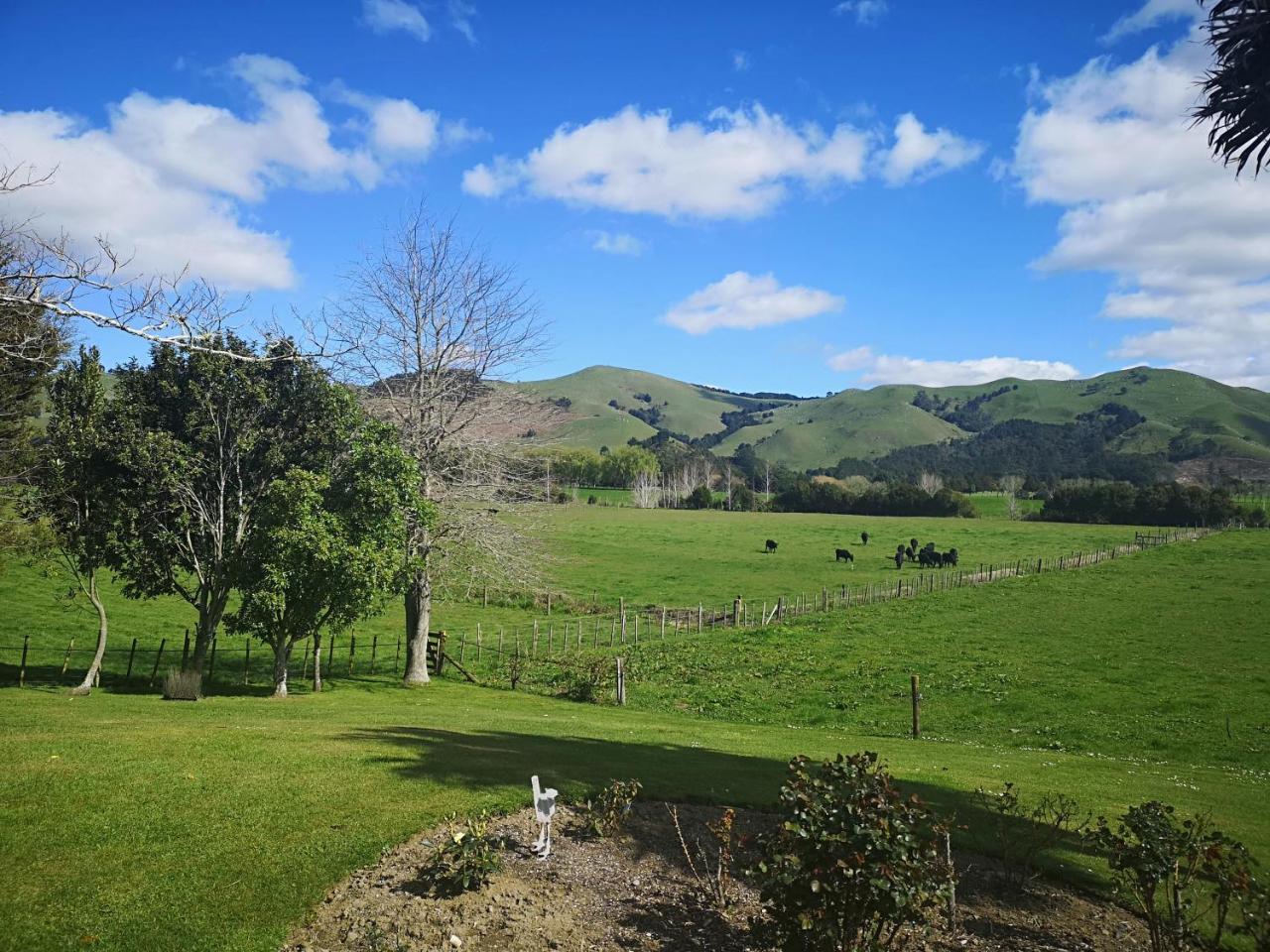 Paeroa Pukeko Lodge ภายนอก รูปภาพ